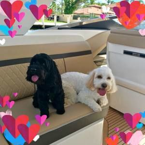 Meet your Posher, Jodi